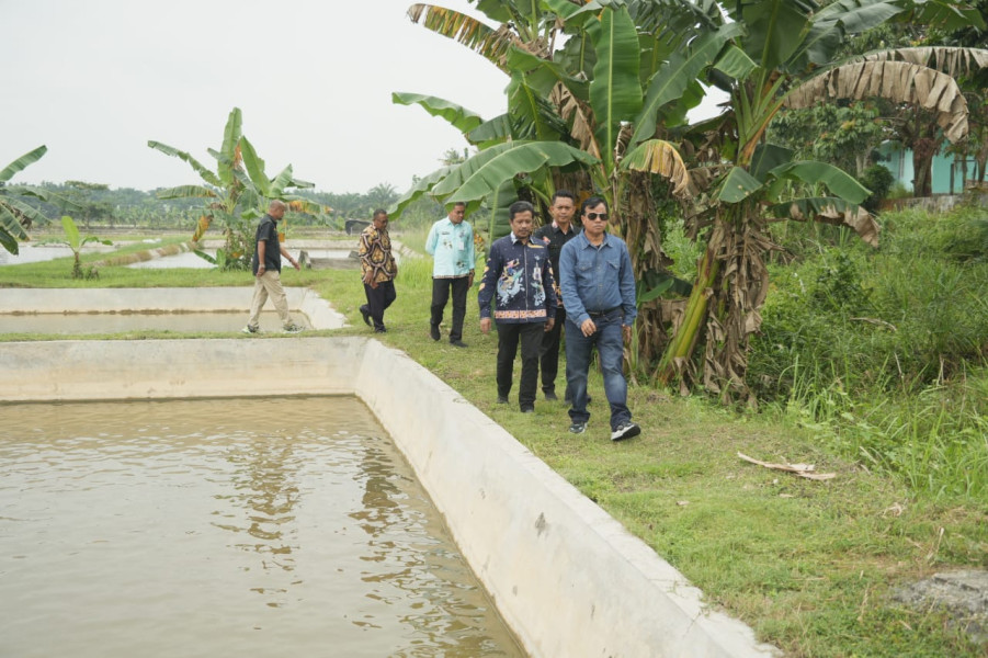 Suhardiman Amby : Jadikan Kuansing Pusat Benih Riau