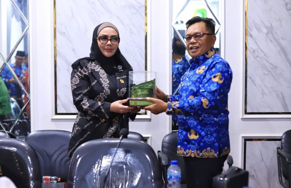 Bupati Meranti Minta DPR RI Carikan Solusi Penutupan Panglong Arang