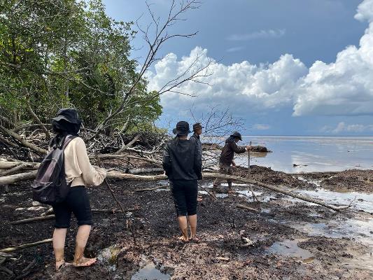 Pusat Studi Kawasan Pantai dan Perairan LPPM Unri Ungkap Karakteristik Kerusakan Mangrove di Kabupaten Bengkalis