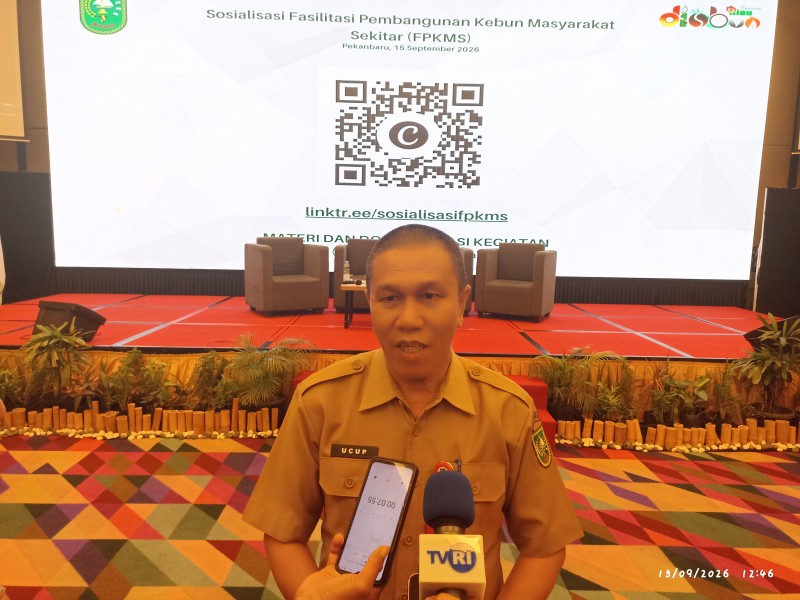 Harga Kelapa Anjlok, Pemprov Riau Dorong Kepastian Harga dan Hilirisasi