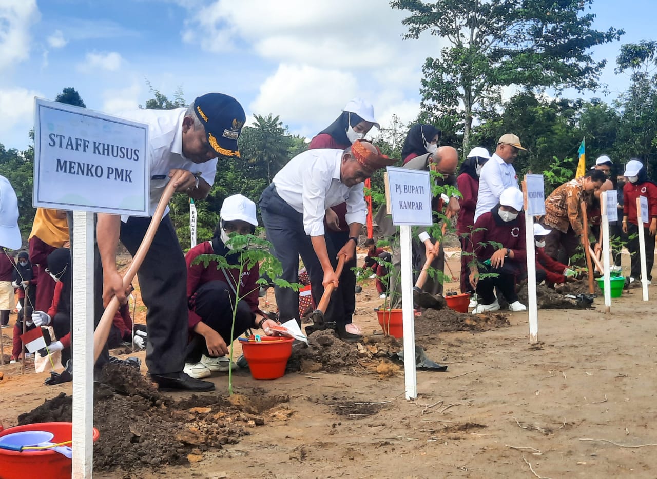 Menko PMK RI di Dampingi Pj Bupati Kampar Tanam Kelor di Universitas Pahlawan