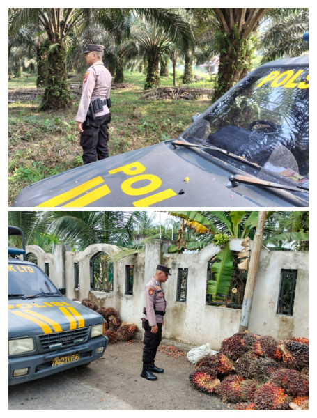 Polsek Logas Tanah Darat Lakukan Patroli Dengan Sasar Perkebunan Masyarakat