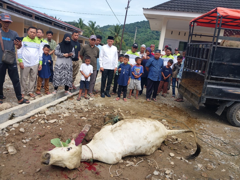 Jumlah Hewan Kurban Naik Signifikan, Bupati Sabar AS: Indikator Ekonomi Masyarakat Membaik