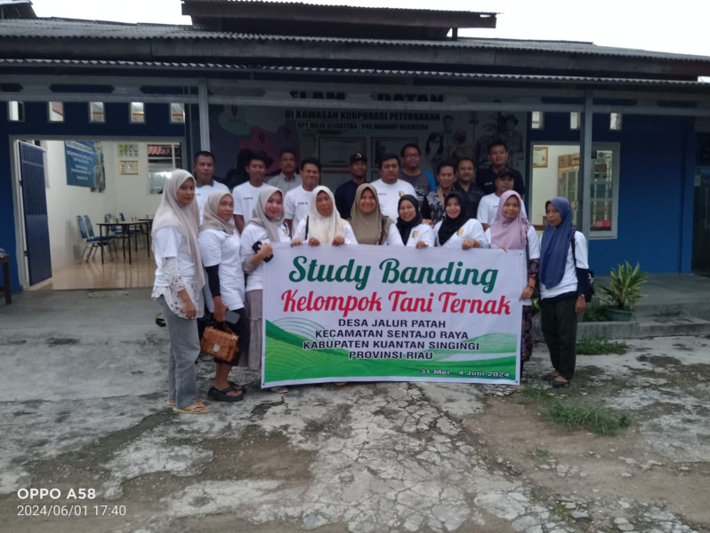 Kelompok Tani Sejahtera Desa Jalur Patah,Kunjungi Desa Korporasi Pertenakan Sapi KPT Maju Sejahtera Lampung Selatan